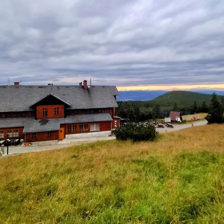 Nowy Rustykalny Z Tarasem - Sowia Apartment