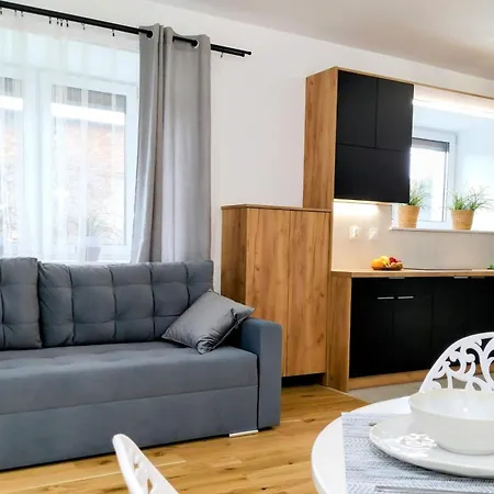 Nowy Rustykalny Z Tarasem - Sowia *